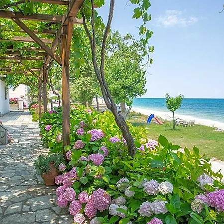 Cleopatra Hotel