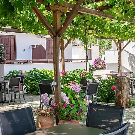 Hotel Cleopatra Zagora